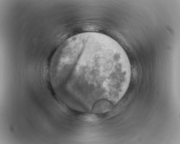 X0000116590322201001071239