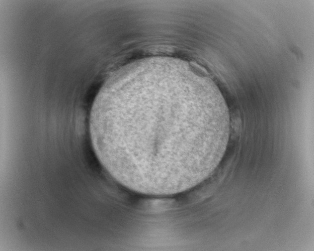 X0000116590323201001071239