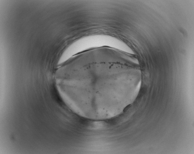 X0000116590324201001071239