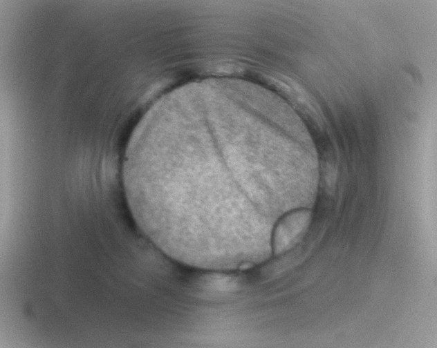 X0000116590326201001071239