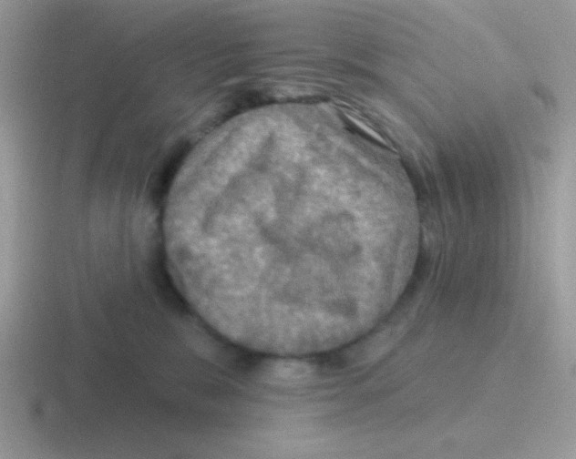 X0000116590327201001071239