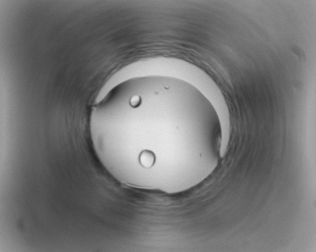 X0000116590328201001071239