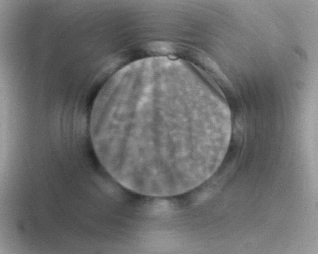 X0000116590330201001071239