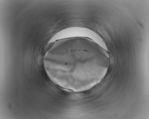 X0000116590332201001071239