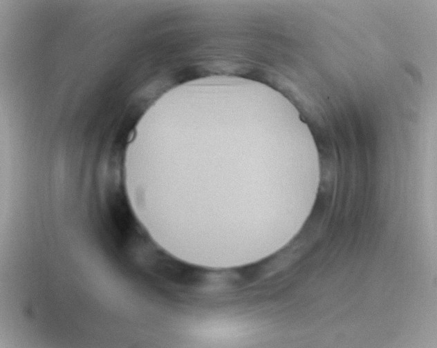 X0000116590334201001071239