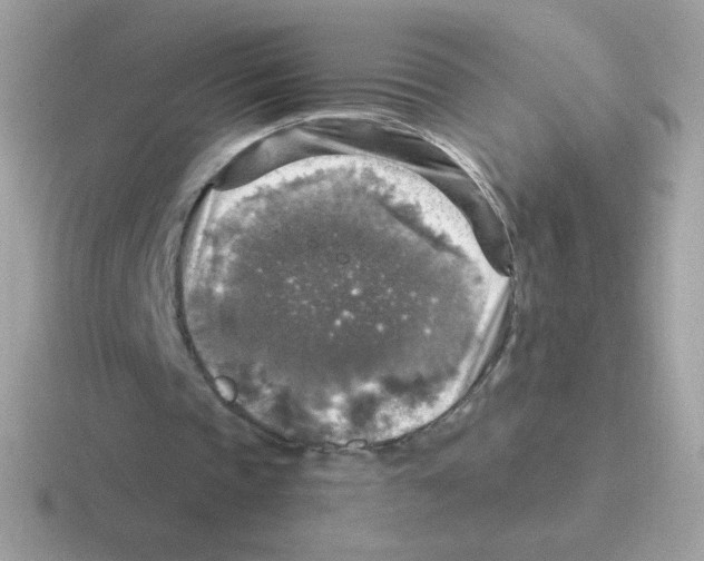 X0000116590337201001071238