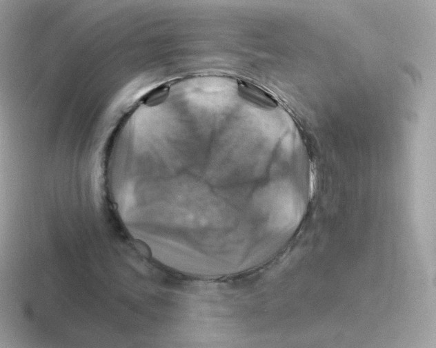 X0000116590339201001071238