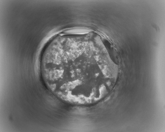 X0000116590343201001071238