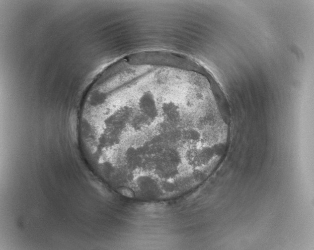 X0000116590345201001071238