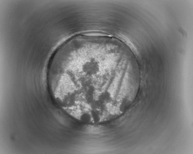 X0000116590346201001071238