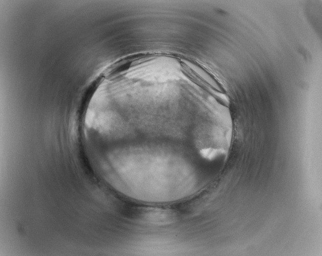 X0000116590347201001071238