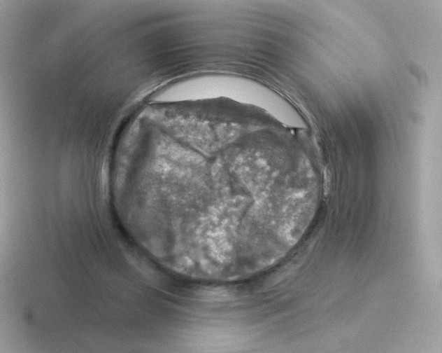 X0000116590349201001071238