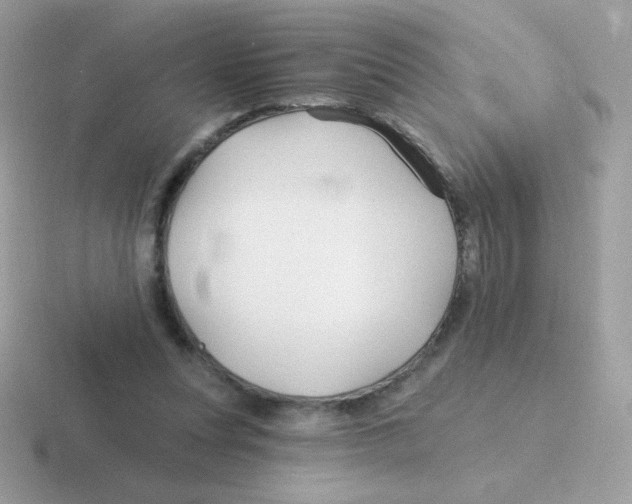 X0000116590351201001071238