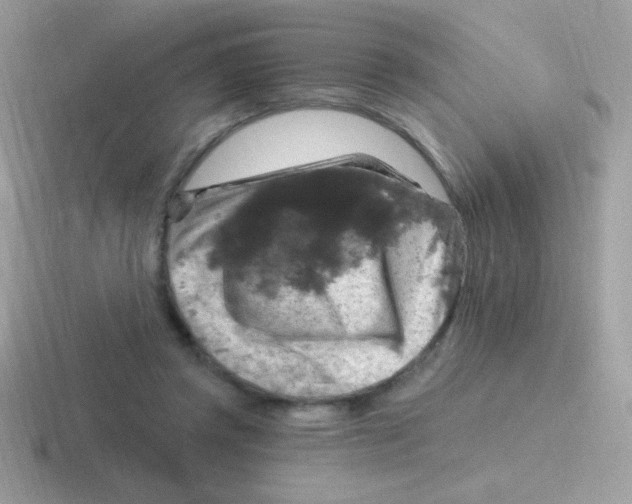 X0000116590357201001071238