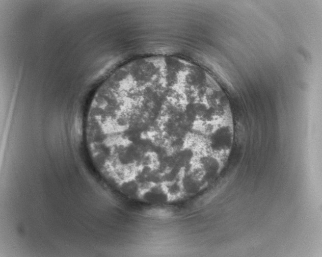 X0000116590358201001071238