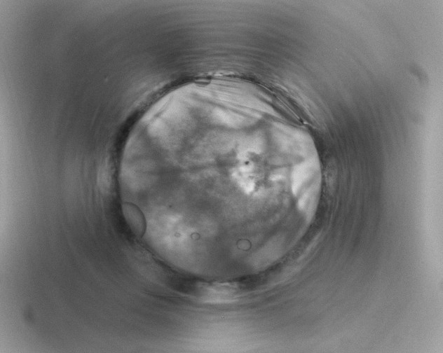 X0000116590359201001071238