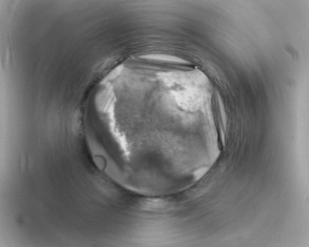 X0000116590361201001071238