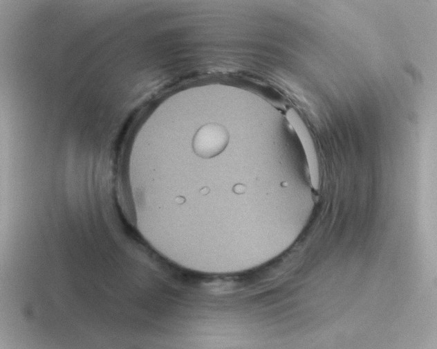 X0000116590362201001071238