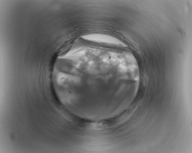 X0000116590366201001071238