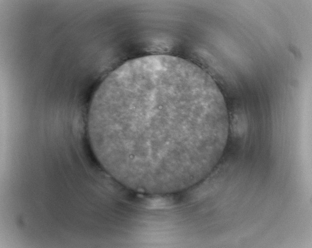 X0000116590370201001071238