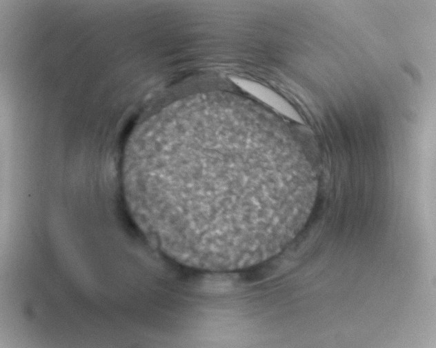 X0000116590373201001071238