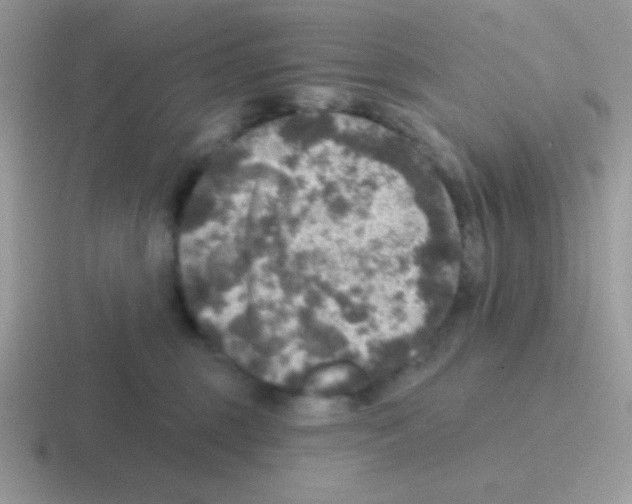 X0000116590375201001071238