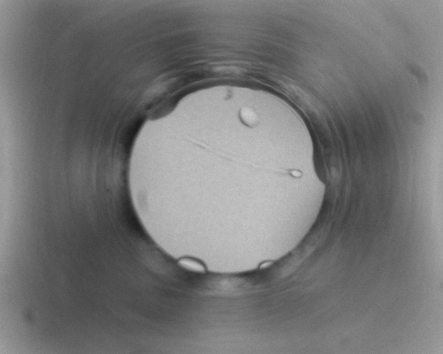 X0000116590379201001071238