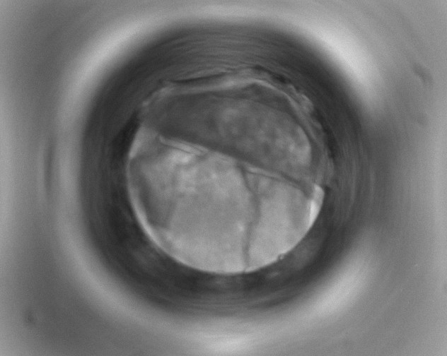 X0000116590383201001071238