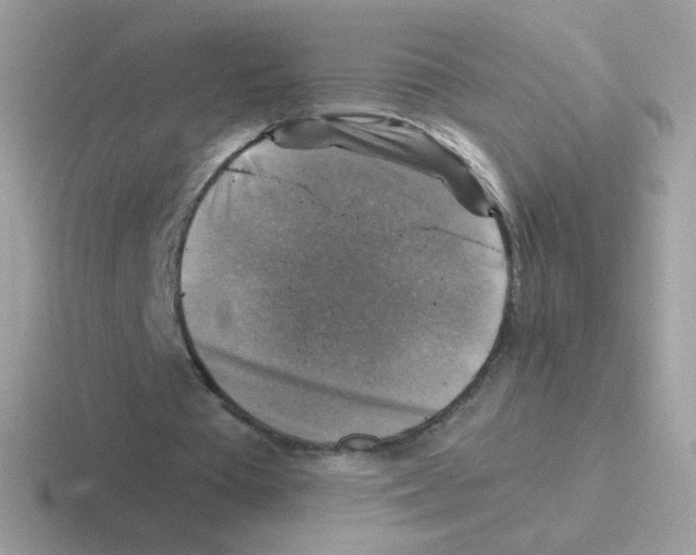 X0000116590385201001071238