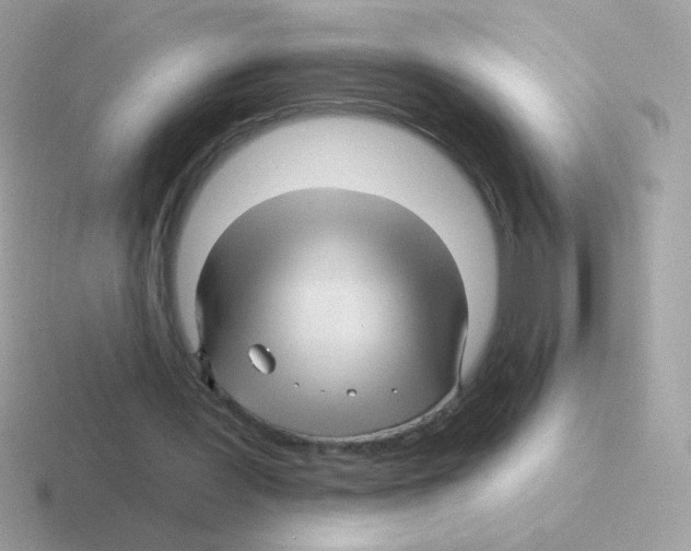 X0000116590387201001071238