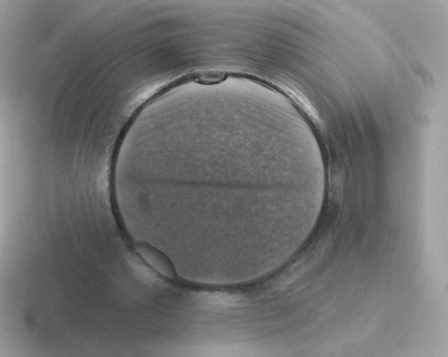 X0000116590389201001071238