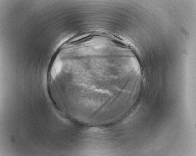 X0000116590390201001071238