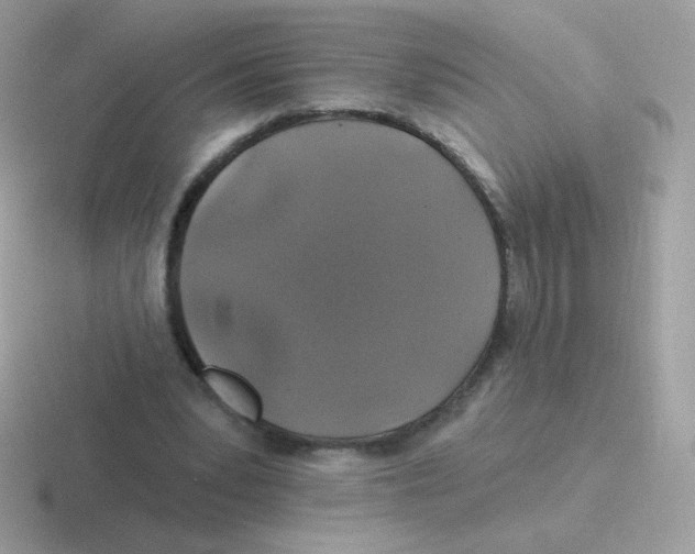 X0000116590391201001071238