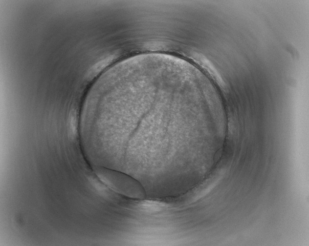 X0000116590393201001071238