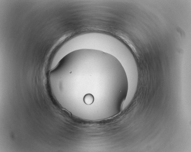 X0000116590395201001071238