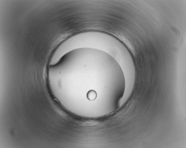 X0000116590397201001071238