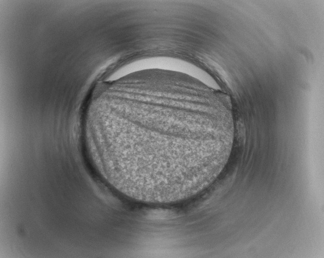 X0000116590400201001071238