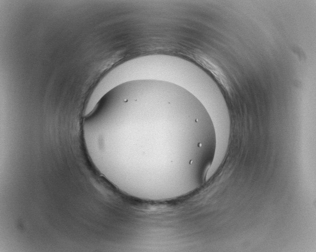 X0000116590401201001071238