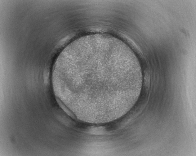 X0000116590403201001071238