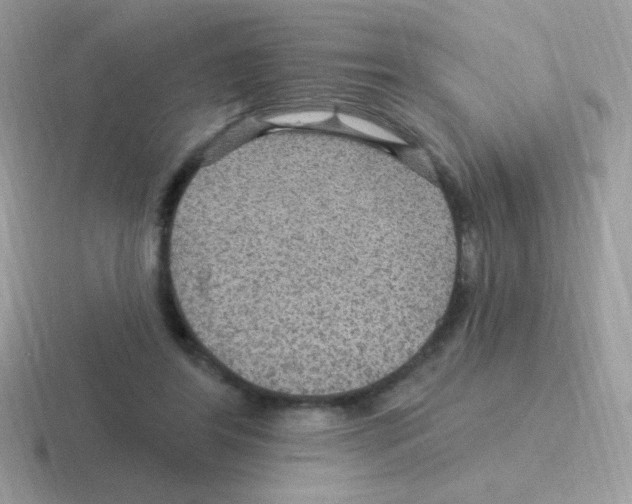 X0000116590404201001071238