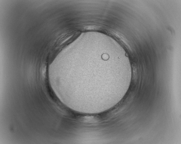 X0000116590406201001071238