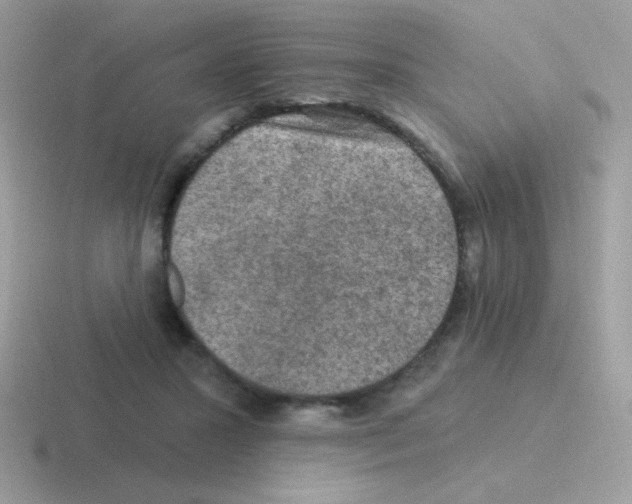 X0000116590407201001071238