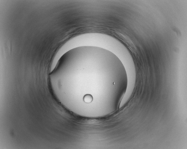 X0000116590409201001071238