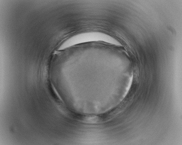 X0000116590410201001071238