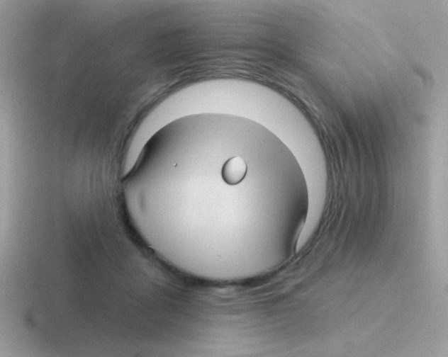 X0000116590411201001071238