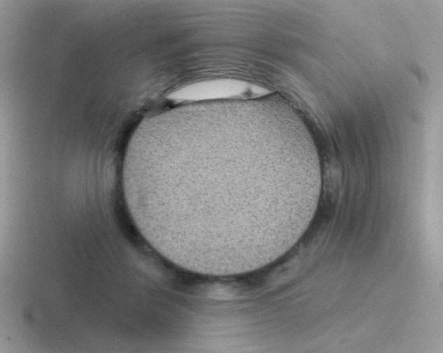 X0000116590412201001071238