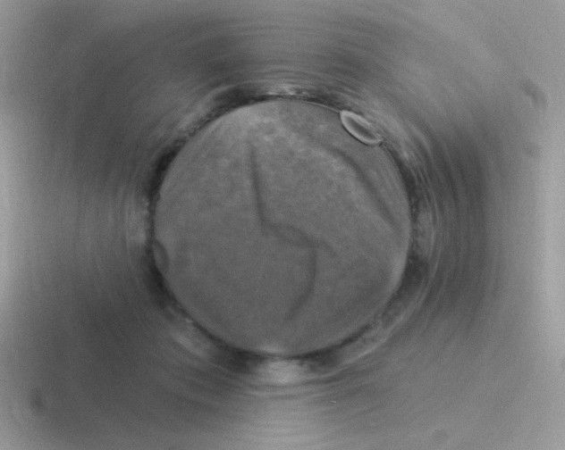 X0000116590413201001071238