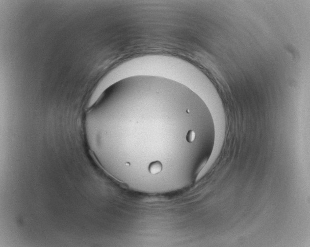 X0000116590415201001071238