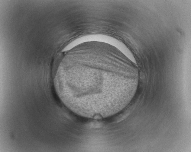 X0000116590416201001071237