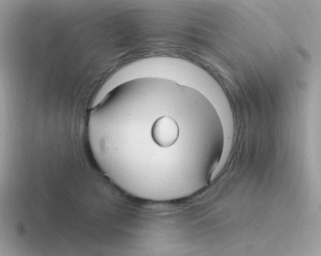 X0000116590417201001071237